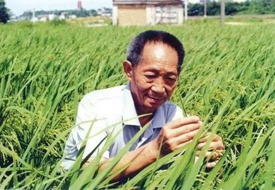 一日三餐，米香彌漫，飽食者當(dāng)憶袁公！